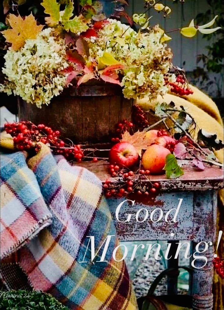 Good morning 
Happy Tuesday 😄