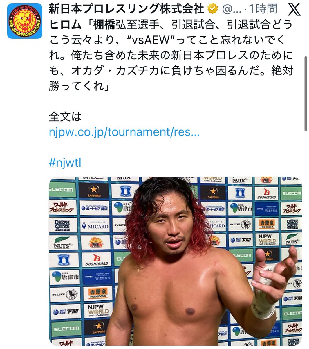 L・I・J M-51ジャケット　新日本プロレス　ロスインゴ 新日本プロレス ロスインゴ ナイロンジャケット 内藤哲也 格闘技