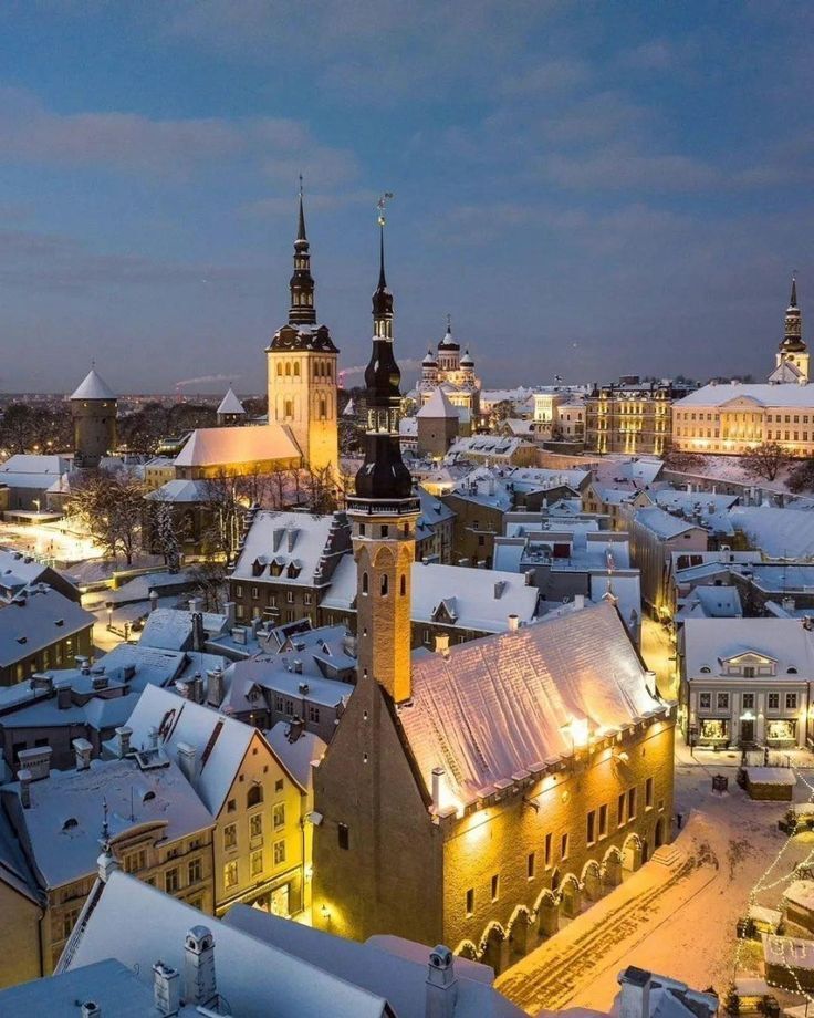 MozartCultures's tweet image. winter in tallin, estonia