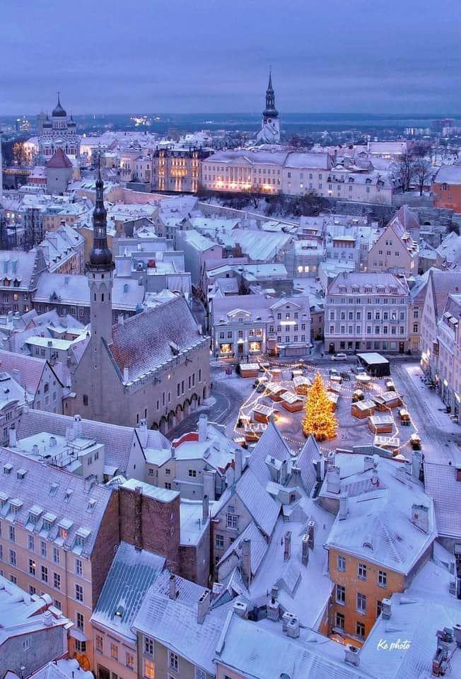MozartCultures's tweet image. winter in tallin, estonia