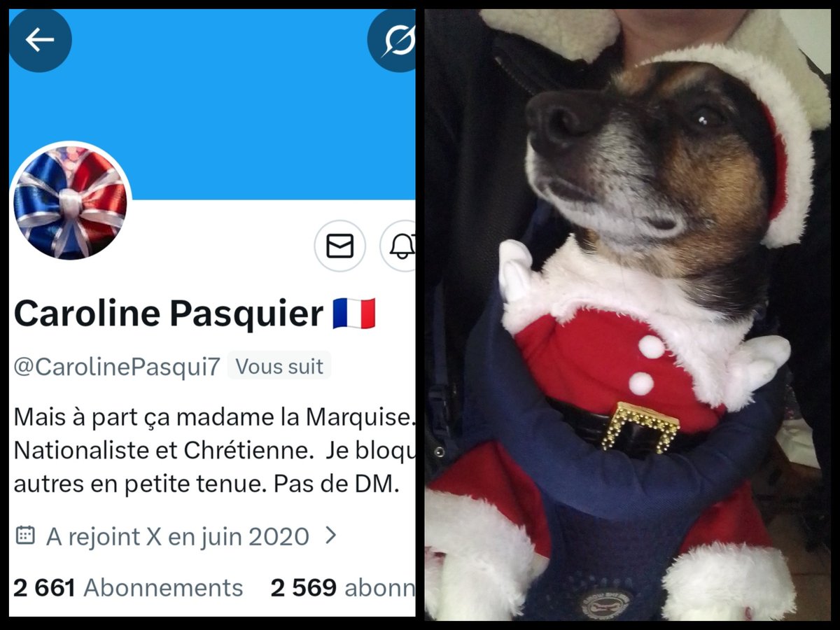JuniorGuibole's tweet image. INFO🚨Merci de partager!
Mes amis abonnés😉
Ainsi que l&apos;équipe #JambonBeurre #TeamPatriotes🇨🇵
Notre amie  @CarolinePasqui7   👍
Aurait besoin d&apos;un petit coup de pouce pour grossir sa TL!🥳
Merci de vous abonner à elle!🙏
Et n&apos;oubliez pas!😉
Tous ensemble nous sommes plus forts!🇨🇵