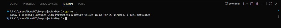 EbelikeEbitimi's tweet image. Day 2 of Learning #Golang! 🎉 Functions with parameters and returns working! Small win, big progress. On to interfaces next! Any tips? 👇
​#go #backenddevloper #100DaysOfCode