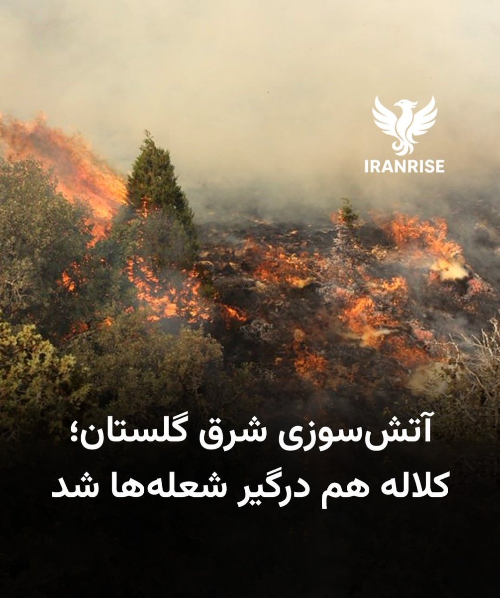 Tigress1401's tweet image. ایران داره تو آتیش عمدی ملاها میسوزه....
مردم سکوت روا نیست 🤬
م.ر.گ بر خامنه‌ای ضحاک #هیرکانی #جاویدشاه