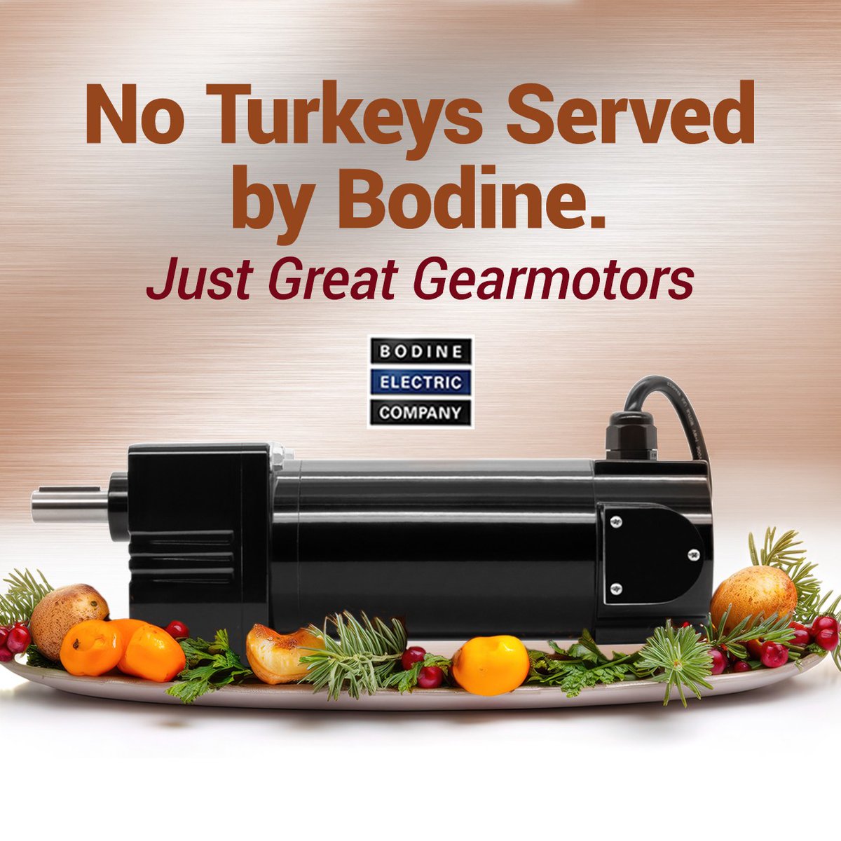 No turkeys served by Bodine! Our engineers are here to dish out advice for your application needs and our manufacturing team serves a smorgasbord of different gearmotors to choose from. We will be closed (26th - 28th) and will return the following  Monday.
#bodineelectriccompany