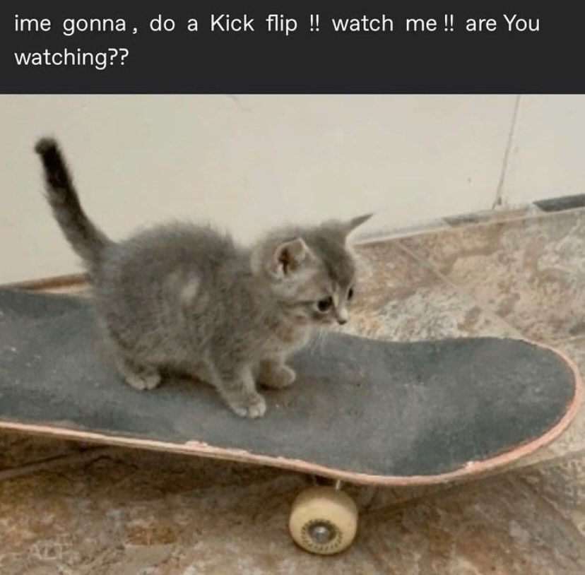 Catsillyness's tweet photo. Are you watching https://t.co/AS8qMENwC0