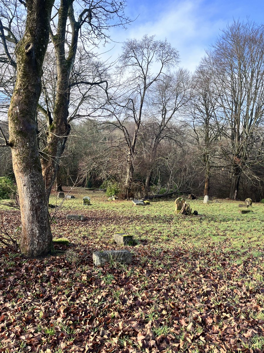 rablang68's tweet photo. @nlcpeople could we possibly have someone down to have a look at the Globe Cemetery in Motherwell, place has been neglected for years . Paths and gravestones are covered with fallen trees https://t.co/vFaveazjpF