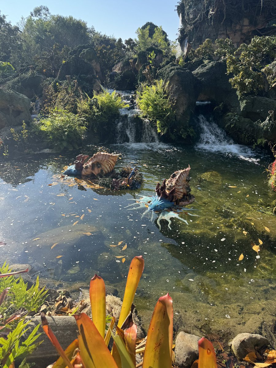 EvanPatel11's tweet image. In a crazy turn of events, two new small blue creatures have returned to Pandora! These animals have had a broken effect for a long time, then were removed completely.