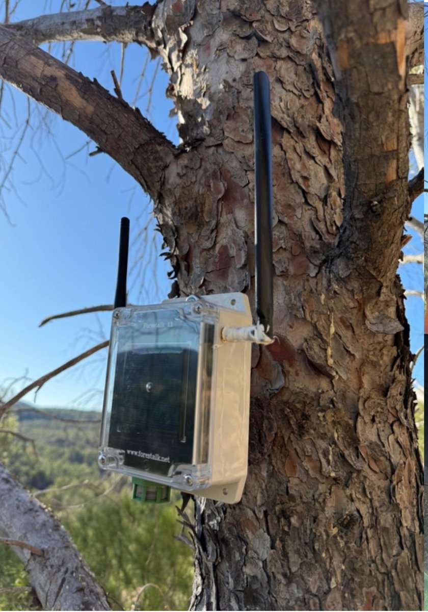 El centro <a href="/Rural_Tec/">Centro de Innovación Territorial RuralTEC</a> y la <a href="/GVAinicotur/">GVA Inicotur</a> activan un proyecto pionero de sensores antiincendios en las Hoces del Cabriel

agronewscomunitatvalenciana.com/ruraltec-y-la-…