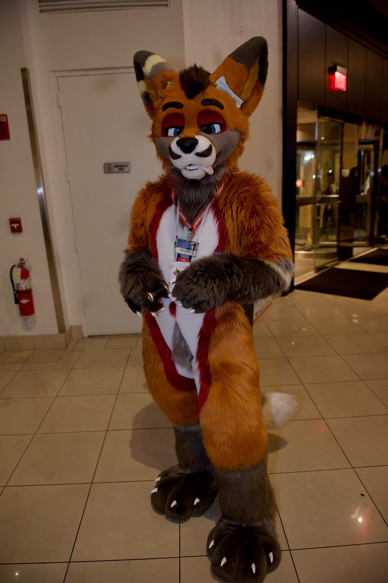 SvenFennec's tweet image. Take a moment and look at this fox🦊💕👅

They want snacks and to say hello👋

📸: @/eberrawolf on bluesky 
🧵: @Roofur
#furry #fursuit #furryfandom