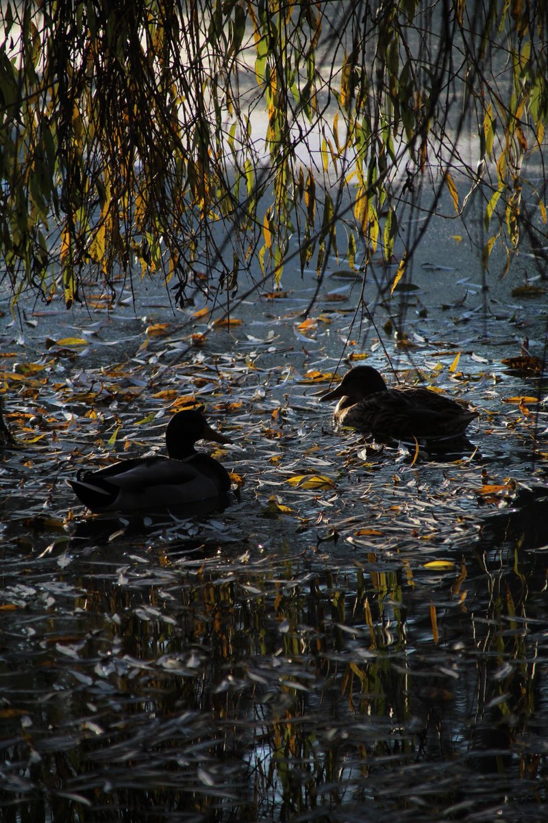 Euch allen einen schönen Nachmittag 🙋‍♂️☕