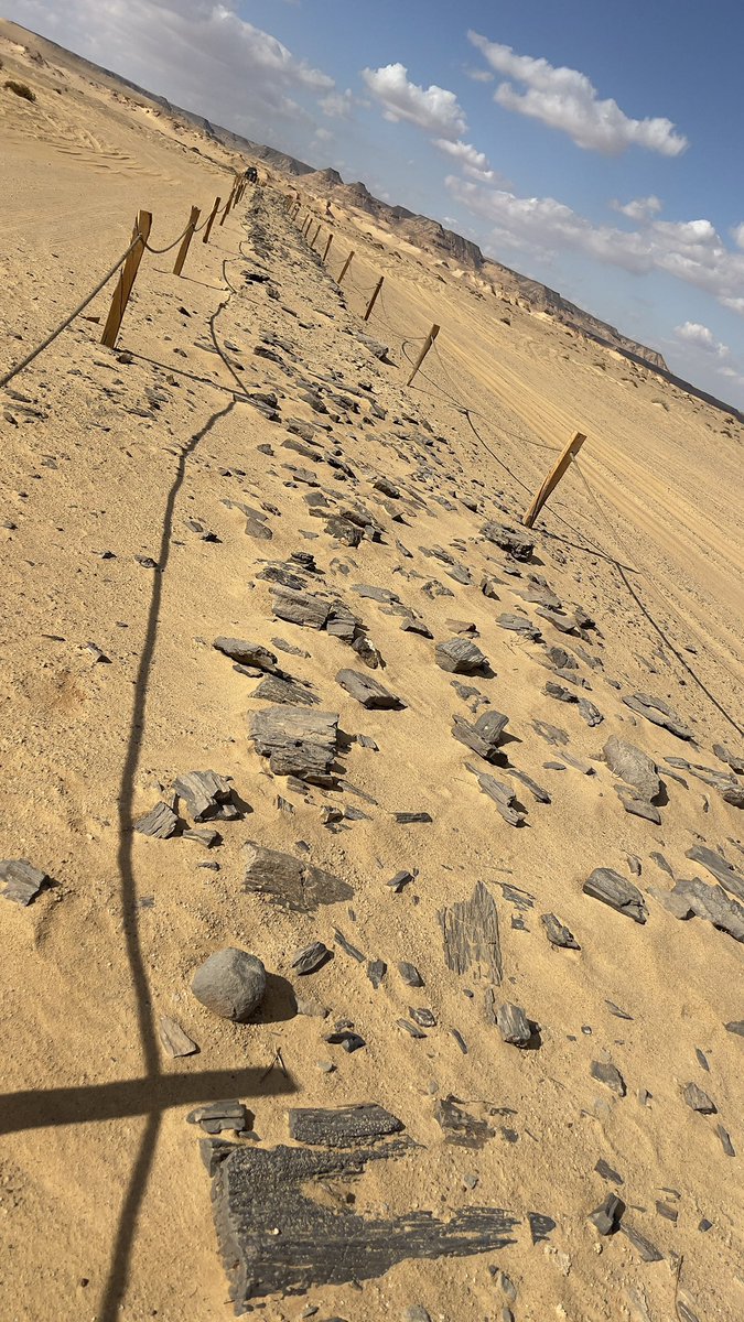 AUSegyptology's tweet photo. The oldest paved road in the world https://t.co/oYCRVD4TpA