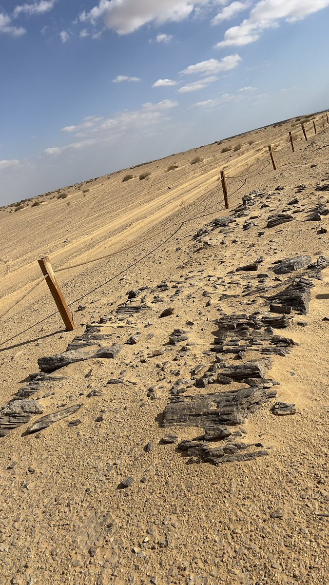 AUSegyptology's tweet photo. The oldest paved road in the world https://t.co/oYCRVD4TpA