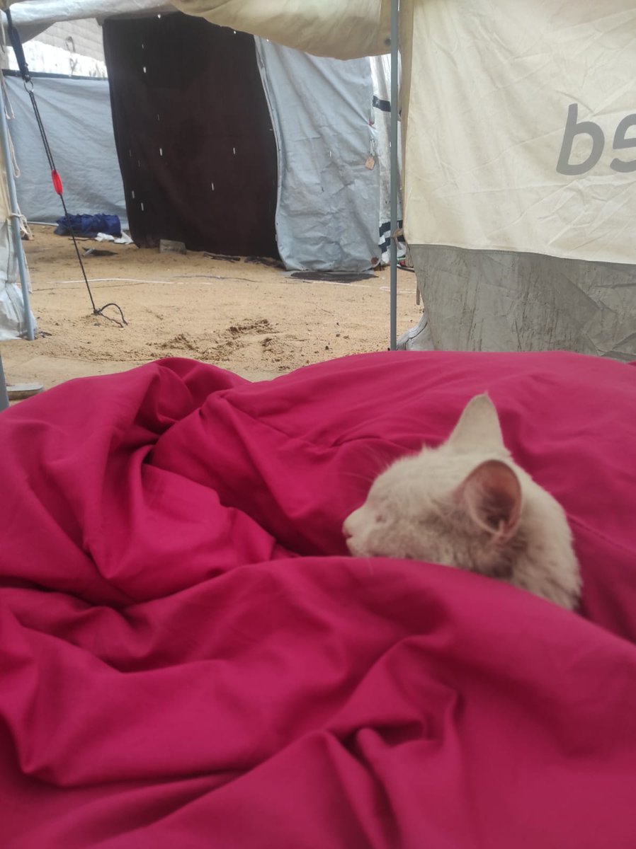 Engmuna20's tweet image. 🚨 Urgent! My voice isn’t reaching anyone because my account is shadowbanned. Please, if you see this, comment, share, do anything you can! Every action counts and your support is life-changing ❤️🙏
chuffed.org/project/muna