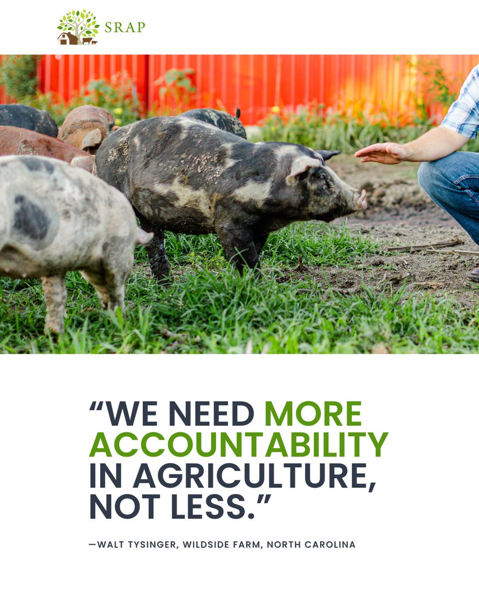 NC farmer Will Tysinger says: "Supporting these values ensures a food system that respects animals, empowers consumers, sustains local economies, and protects the health of our land for generations to come."

Congress must protect #Prop12 ✅

Read more: sraproject.info/48c20NO