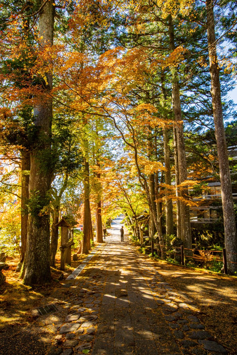 tfk6502's tweet image. 箱根  長安寺  2024/11