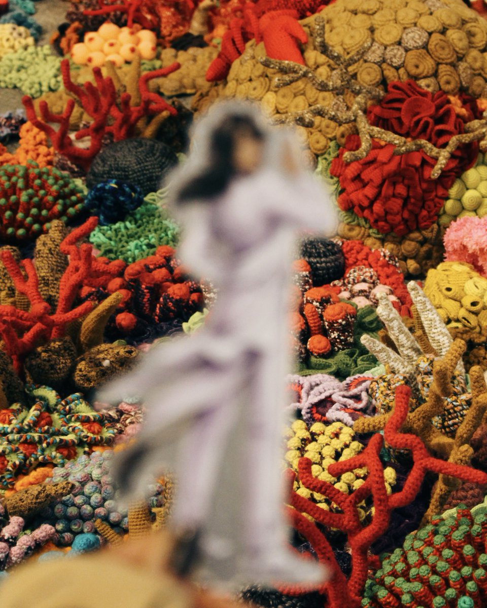 SUZU (@s___kingscholar) / Posts / X