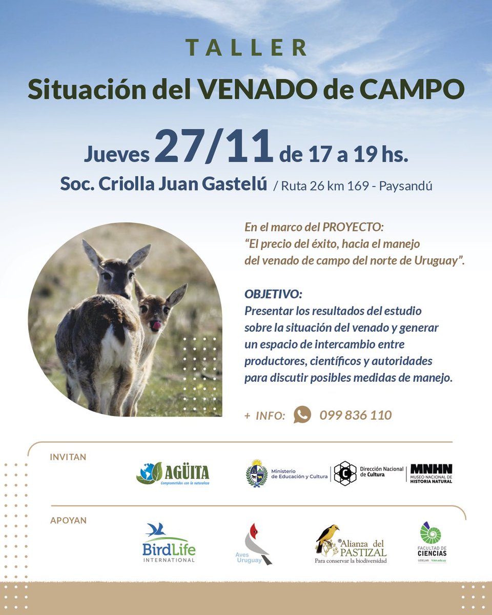 Los esperamos, para pensar juntos cómo seguir produciendo y conservando a la especie emblemática de la fauna nacional.

📣 TALLER:
Situación del VENADO de CAMPO
📅 Jueves 27 de noviembre
🕔 De 17:00 a 19:00 hs
📍 Soc. Criolla Juan Gastelú – Ruta 26 km 169, Paysandú