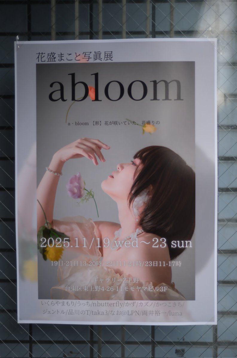 matsuttsu0240's tweet photo. 先日、写真展 #abloom に行ってきました。
久しぶりにお会いした #花盛まこと さんはどこまでも穏やかで、きっと穏やかな雰囲気で撮影されたであろう素敵な写真がたくさんありました。
今後も何らかの形で写真に携わる活動を続けていけるよう願っています。 https://t.co/bPVGcXn6ip
