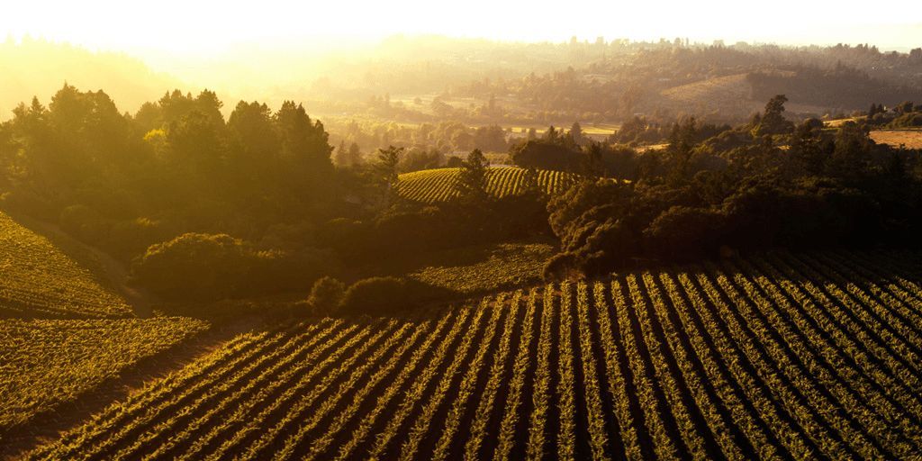 Judging for the 2026 San Francisco Chronicle Wine Competition is January 13-16, 2026.

All bonded wineries in the United States, Canada and Mexico are eligible to enter the wine competition.

Professional wine judges are sourced throughout North America.

buff.ly/wwvSzBe