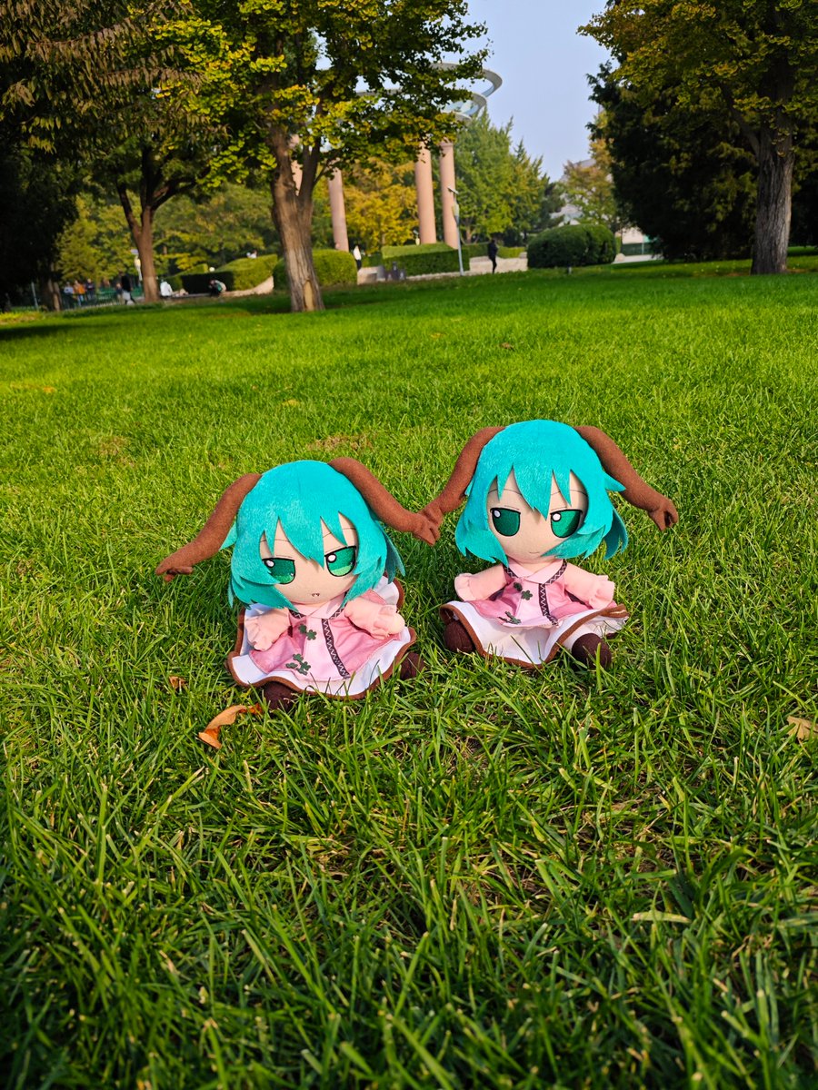 Fumo Fumo tweet media