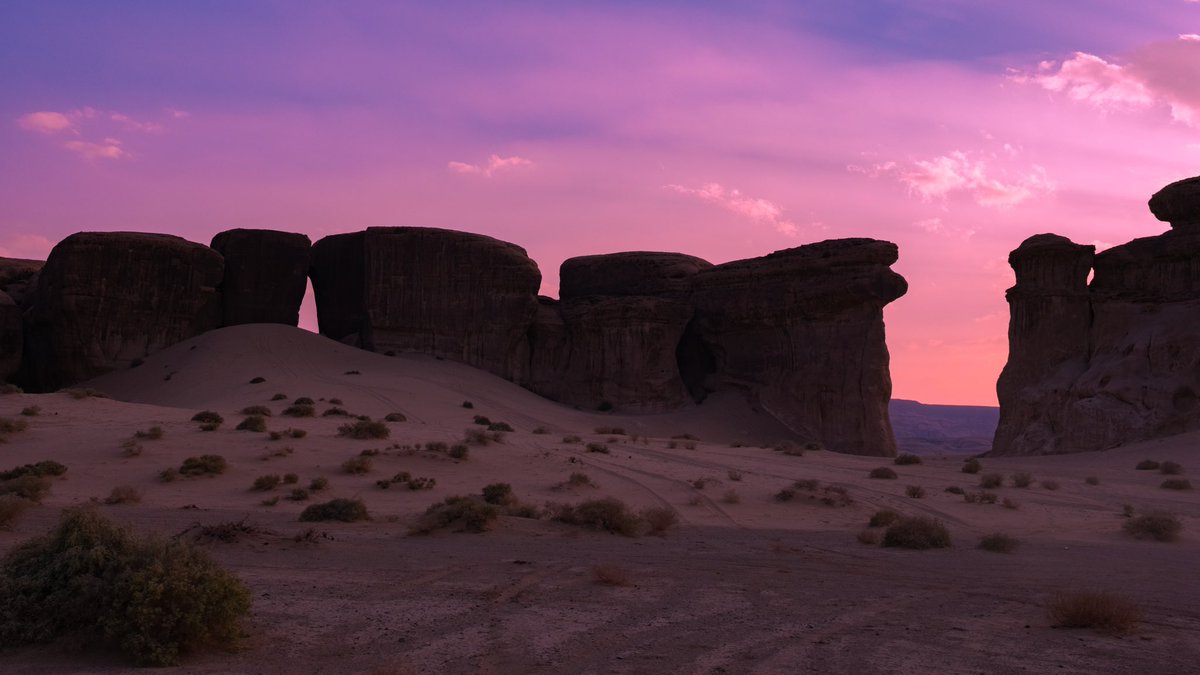 _nc81's tweet image. 