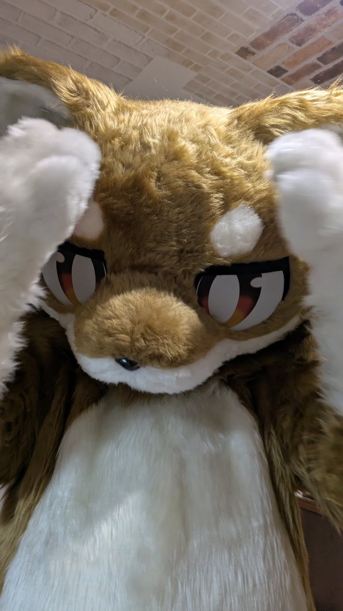 この度いぬご家様（<a href="/inugoya_inu/">いぬご家【コミッション受付中】</a>)より
柴犬の男の子「チェス」をお迎えしました！優しい性格の男の子になります見かけたらいっぱい話しかけてね。