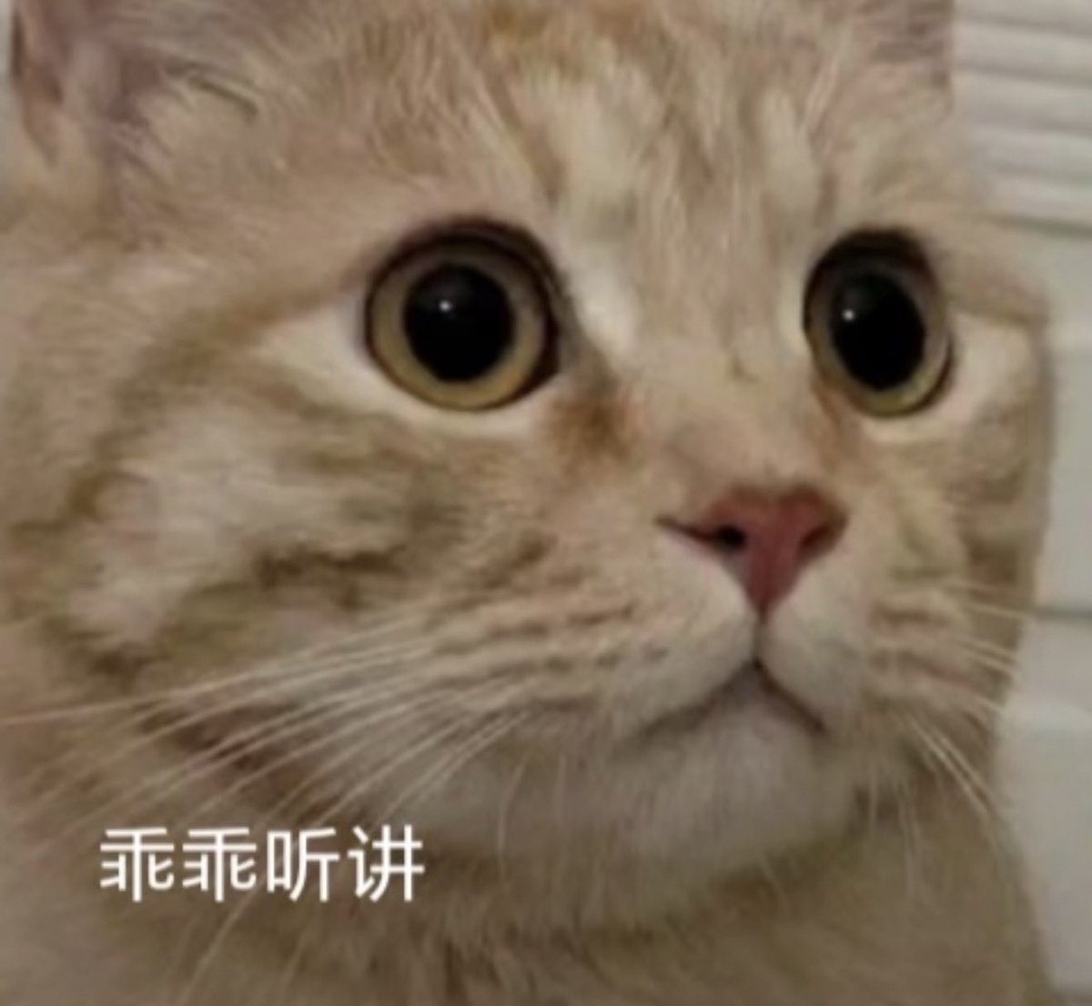 真实直男控 tweet media