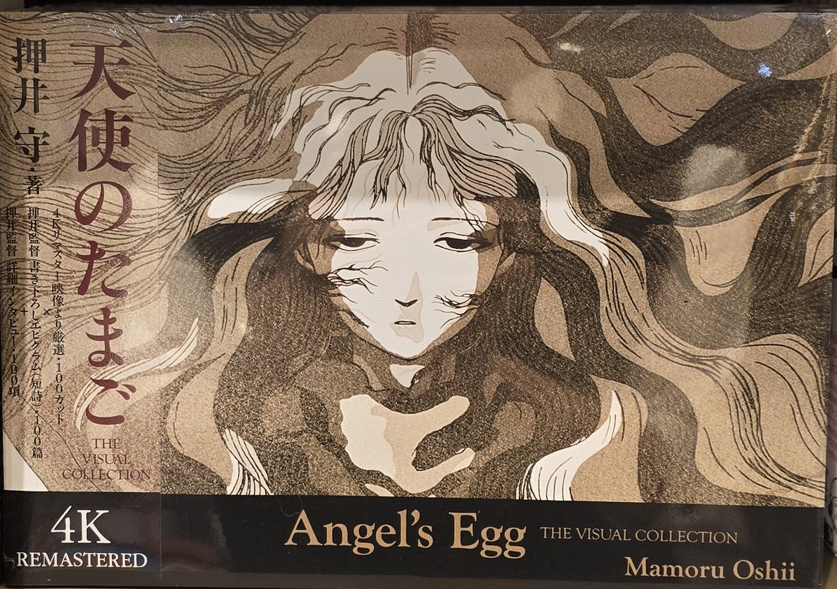 天使のたまご THE VISUAL COLLECTION】 #押井守 #トゥーヴァージンズ