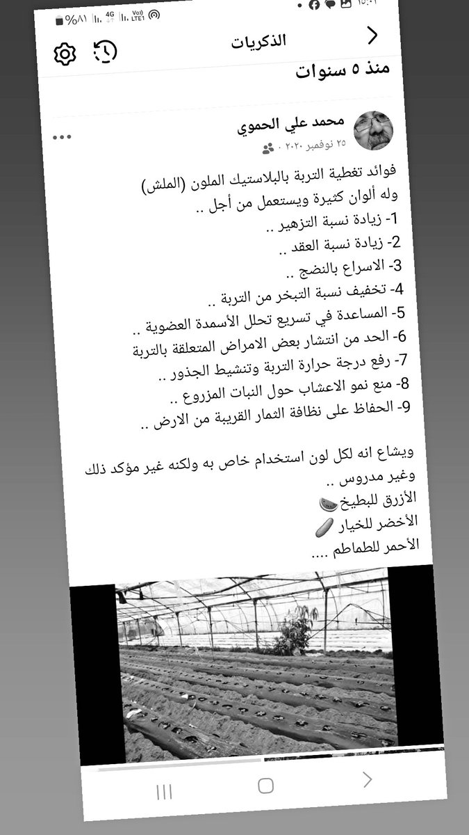 محمد علي الحموي (@ali_hamoui) on Twitter photo 