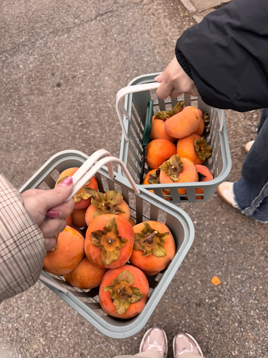 成瀬心美 (心美)