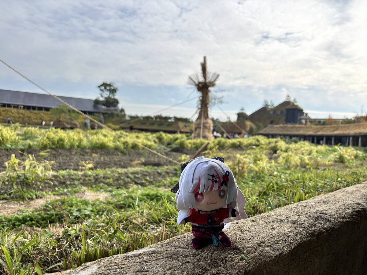 ぺんちゃん❤️‍🩹 (@penchan_2525) / Posts / X