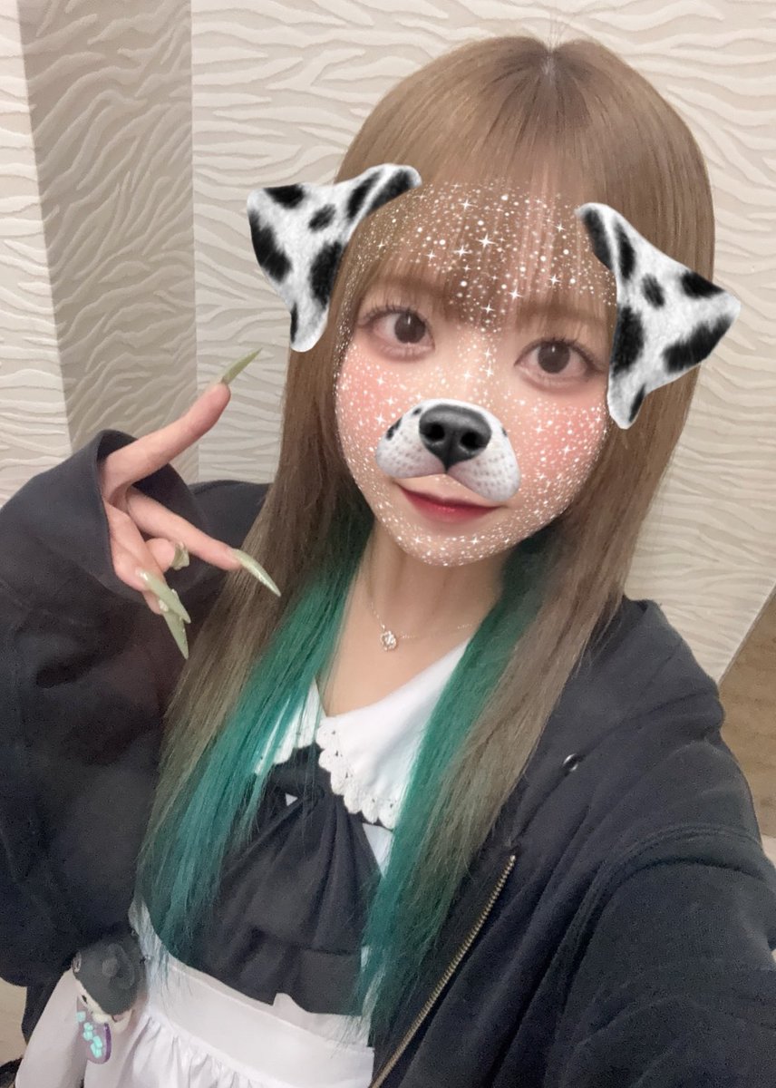 mkoto_selcon's tweet photo. おーらすおきゅいんしてますᵋ ･֊･ ᵌ
1年ぶりに髪色戻したよん🩶💚 https://t.co/1ohofR0MCw