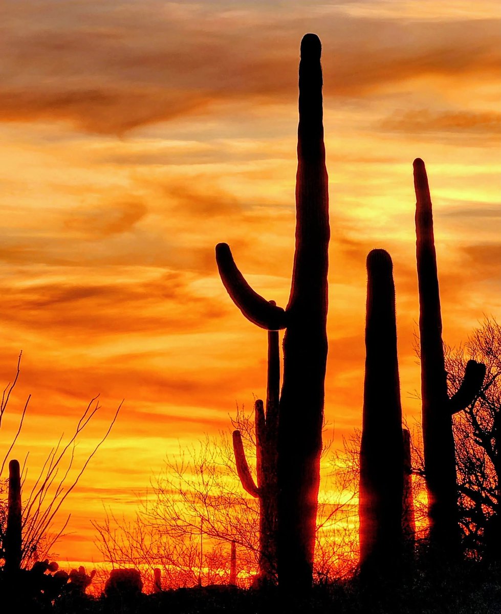 Good morning u-all from Arizona 😊 Have a fabulous, fantastic, wonderful Tuesday my friends 🧡