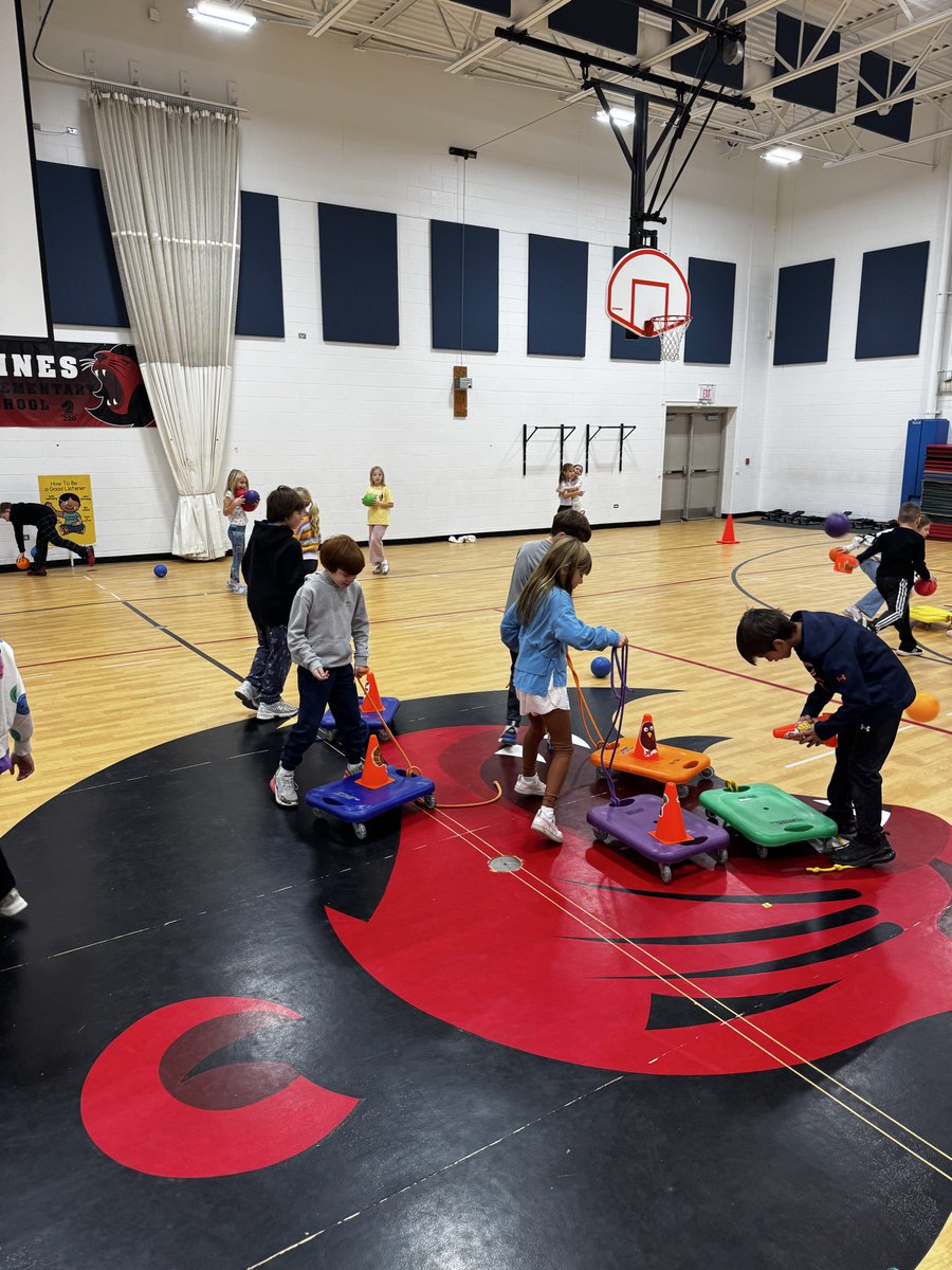 Lines PE tweet media