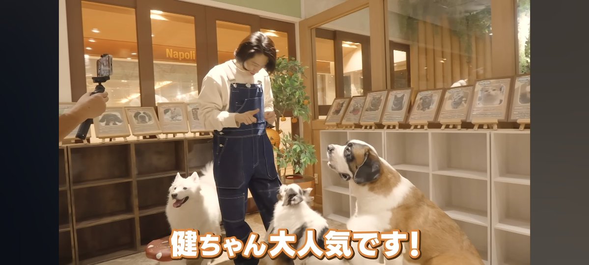 forever_V626's tweet image. 今日の健ちゃんの食卓癒されました✨
いろんな動物がいるのもびっくり😳きちんと人馴れもしてるし大人しいですね
健くんの周りに集まって来ちゃうのも良く分かるよ🧡
#君真空管健
#三宅健