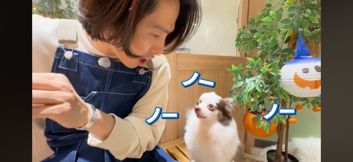 △・{☺︎健佳☺︎🧡🧸🐼💖🥜☺︎ﾁﾝｶ☺︎ (@ACE372) / Posts / X