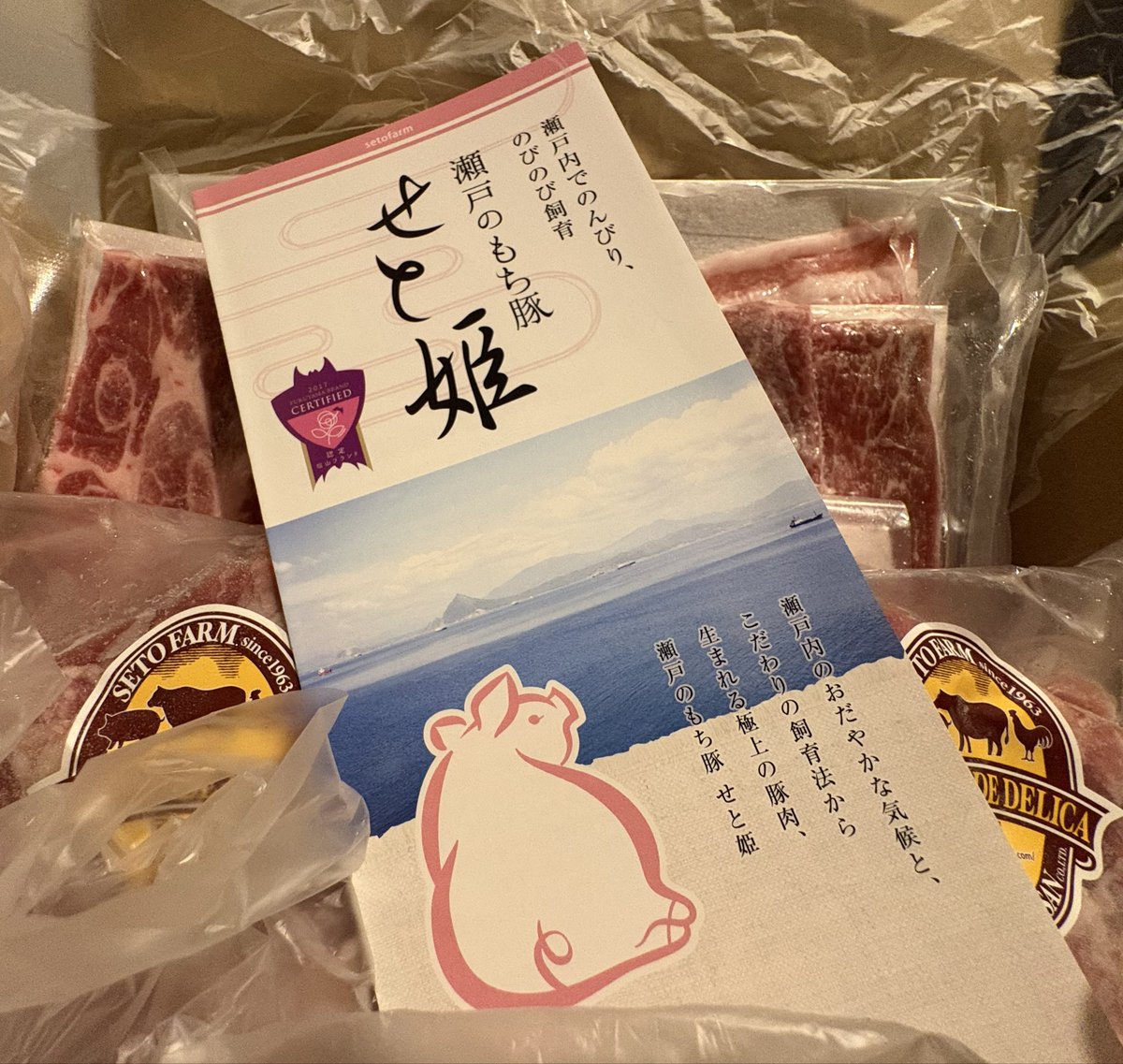 オータムキャンペーンのプレゼント企画にて、瀬戸のもち豚頂きましたー！
鍋料理にして暖まろうと思います
ありがとうございます
#VRChat_VStores