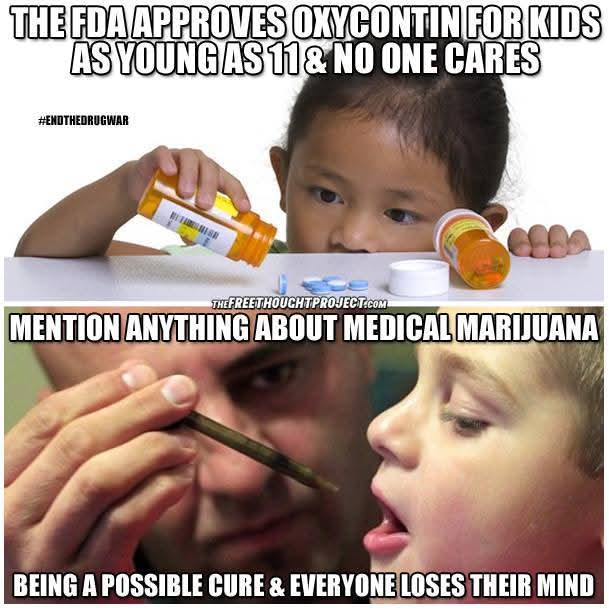 Norstackk's tweet image. :&amp;gt;}_~#WakeNBake #StonerFam #StonerCircle #StonerNation #IAmCannabis #WeAreCannabis #FuckCancer #StayWoke &amp;amp; ALL #STONERS ~HappyTuesDazed~