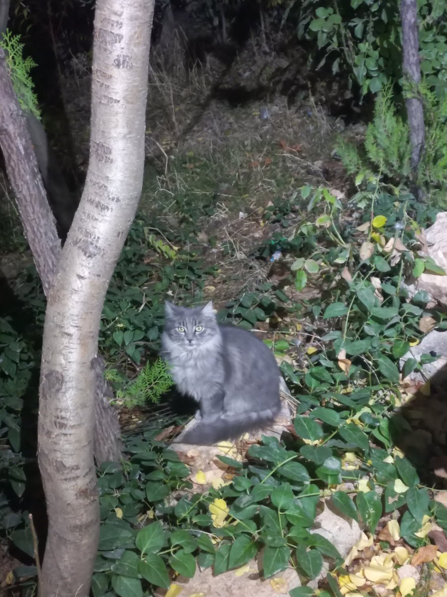 Benden iyi poz veriyor :))