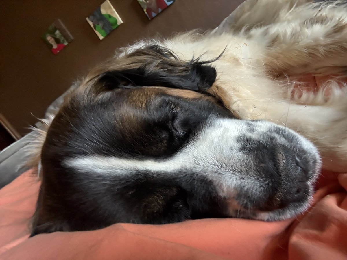 John Hannon tweet media