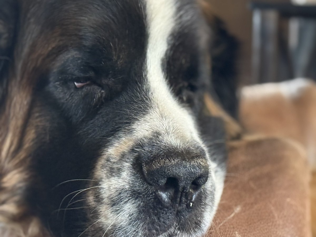 John Hannon tweet media