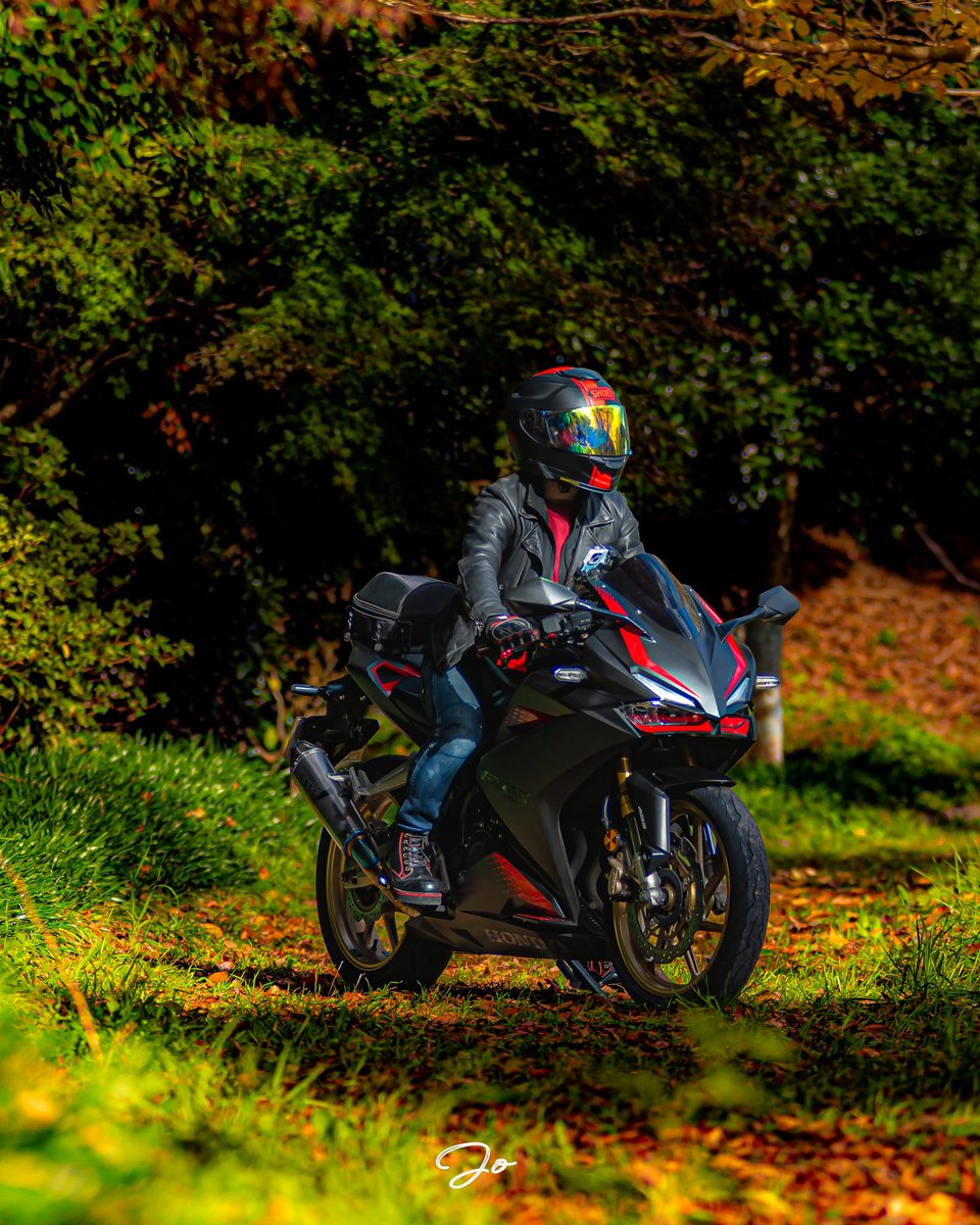 32_62_rkuyu's tweet image. 感動に言葉はいつも無粋なのでした。