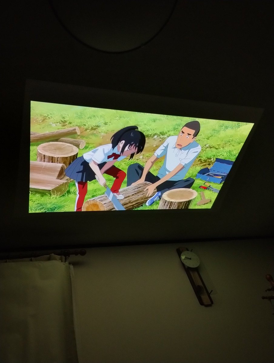 psov5flw's tweet image. リビングに来たら家族が天井で君の名は見てた