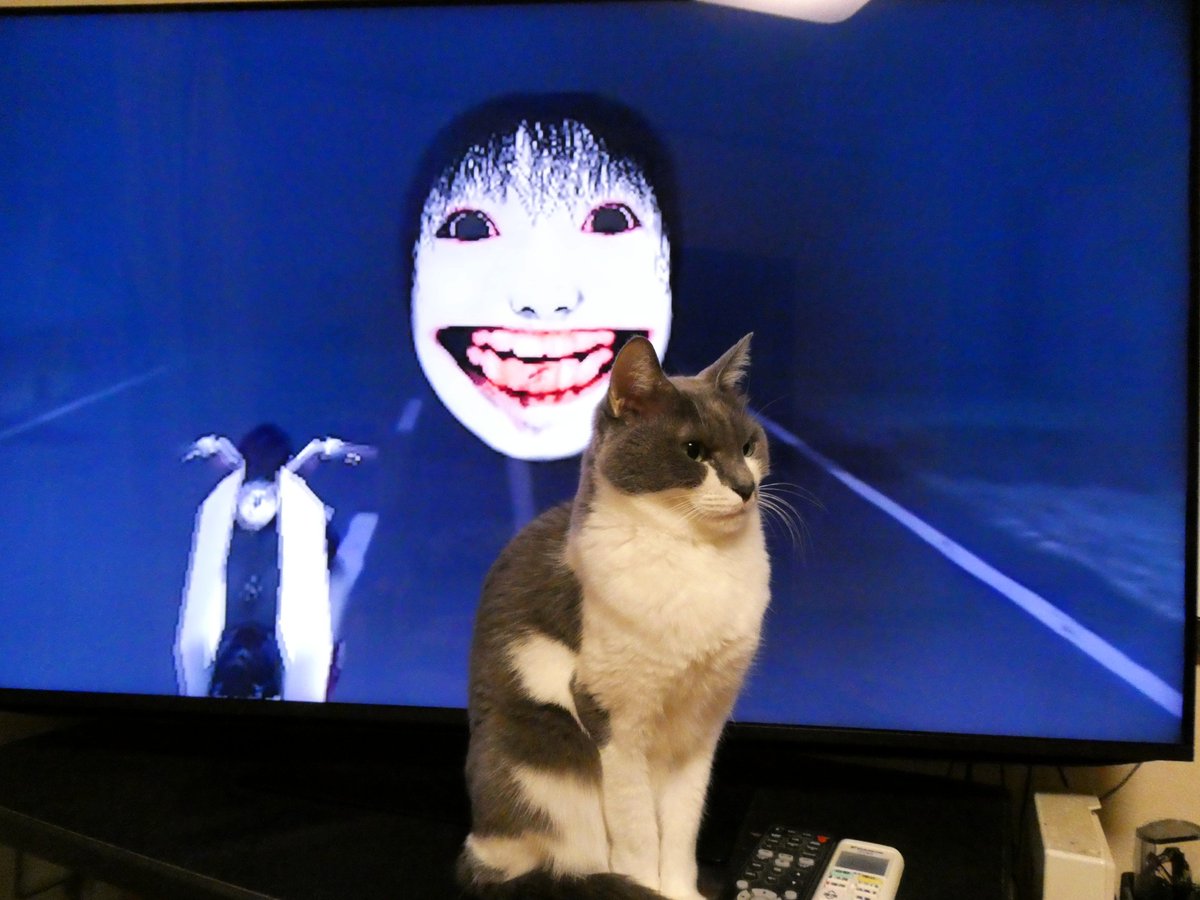 RT @d6S18SNSWSf8xen: 11月の満月は雨で拝めませんでしたが、次の