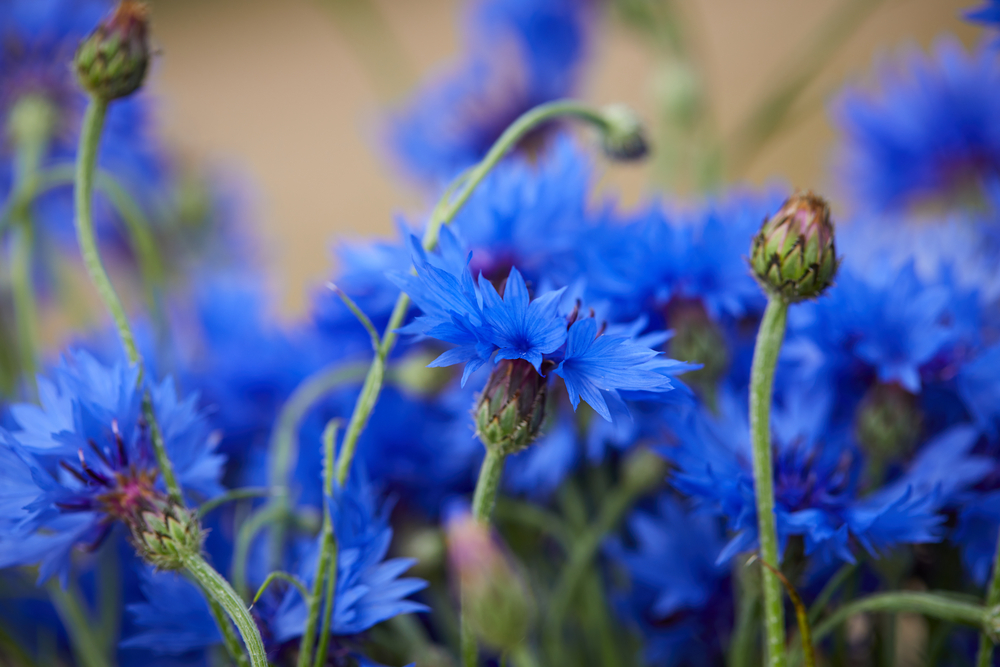 1371 доба активної фази 11-річної війни
🇺🇦 Слава Україні! Слава ЗСУ!
#СТОЇМО 
#ЗупинимоОкупантів 
#stoprussianhate