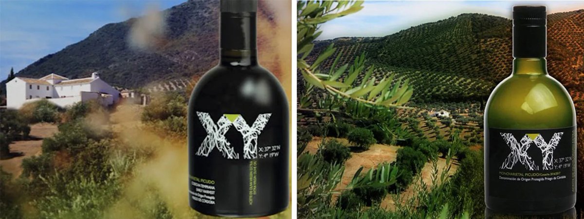 Gastroactivity tweet media