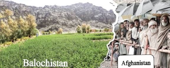 SW_Defender's tweet image. Balochistan is stabilizing and carrying the real weight of Pakistan’s fight against terrorism. With 79 percent of anti terror ops and 42 percent of our martyrs from this province plus 13 billion in local projects and police authority restored in 26 districts the progress is real.…