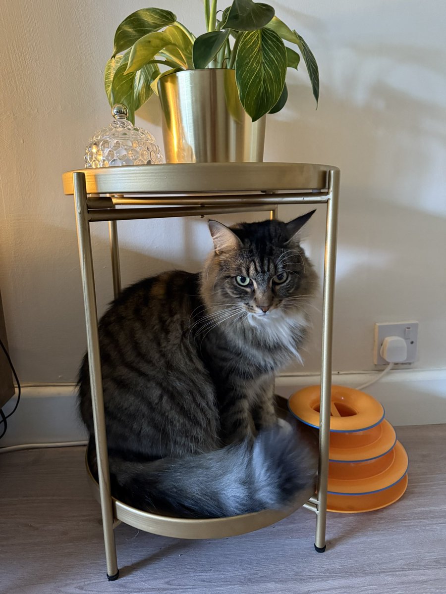 Hide and seek level: Expert.