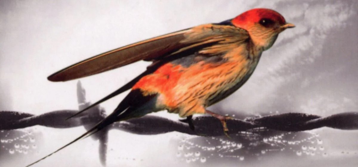 Der Neurologe und Psychologe Viktor Frankl sagte: Die Sinnfreiheit westlicher Gesellschaften birgt tödliche Risiken für die Völker Europas. signal-online.de/viktor-frankl-…