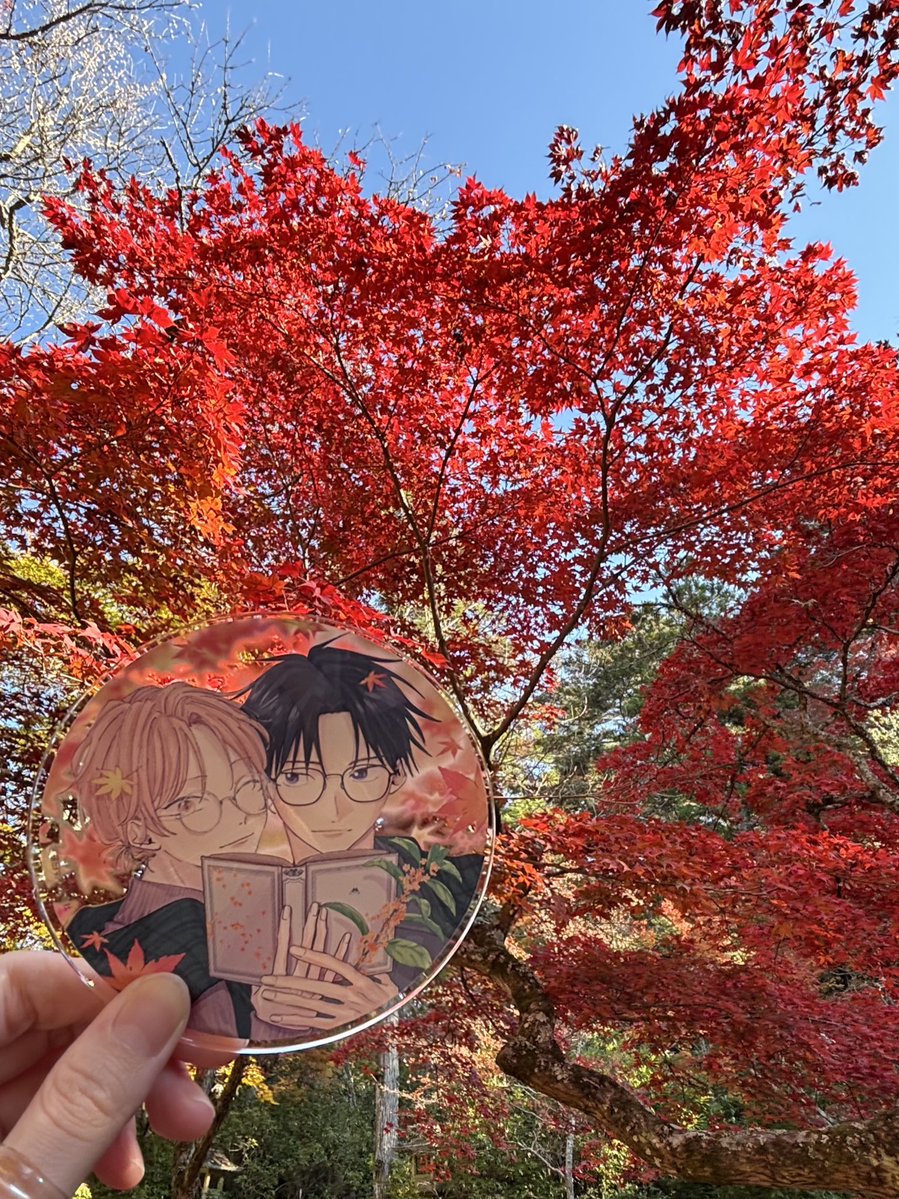 05taru_'s tweet image. ずっと、紅葉シーズンになったらこのアクコ持って紅葉狩り行きたいと思ってたの！やっと叶った〜🍁秋の装いのりゅあまかわいすぎる🫶🏻

#君となら恋をしてみても 
#なら恋